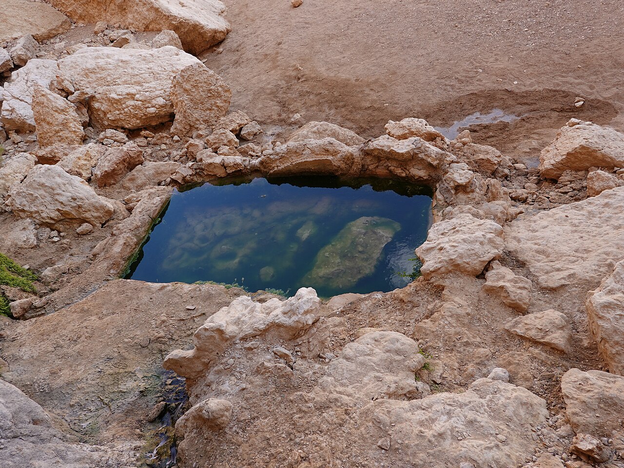 שוקת המים הקטנה בעין נטפים בין סלעי הרי אילת
