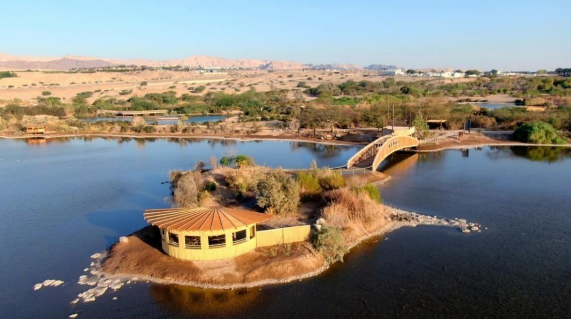 האגם, מסתור התצפית והגשר בפארק הצפרות באילת באור יום