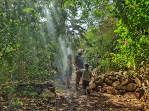 מבקרים בין הצמחייה וערפילי המים ביער הגשם בגן הבוטני באילת