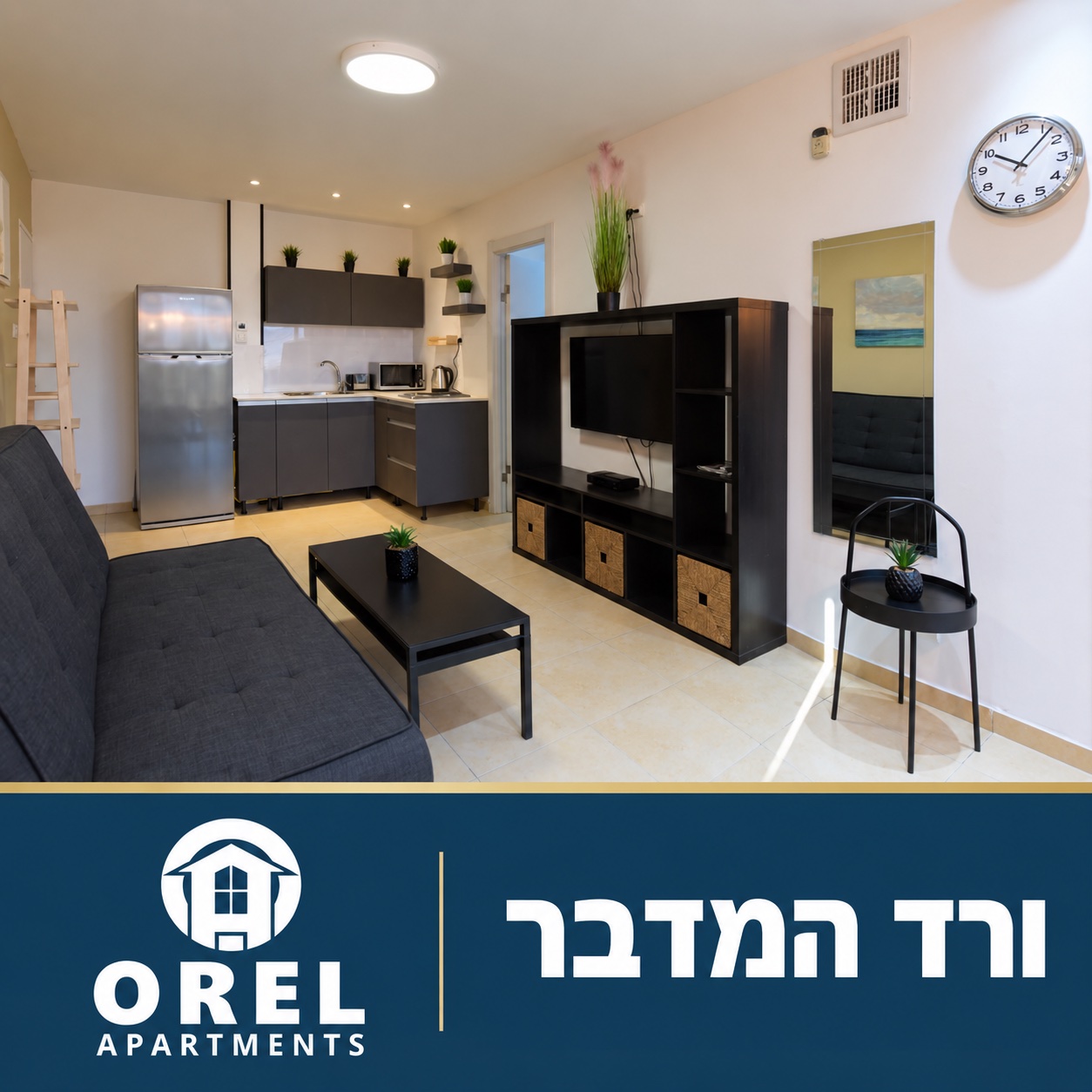 ורד המדבר באילת — אוראל דירות נופש
